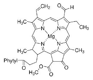 Clorofila b