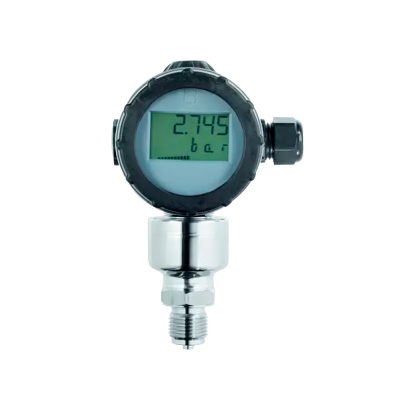 Transmisor de presión Dtrans P20 1 a 25 bar relativos